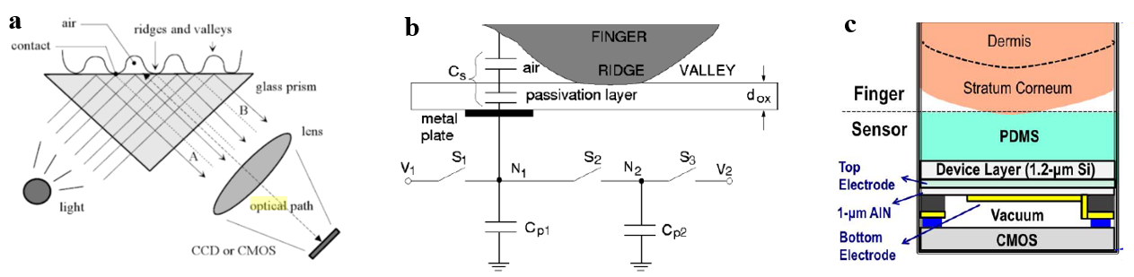 How Ultrasonic Fingerprint Sensing Works And Why It Is Important